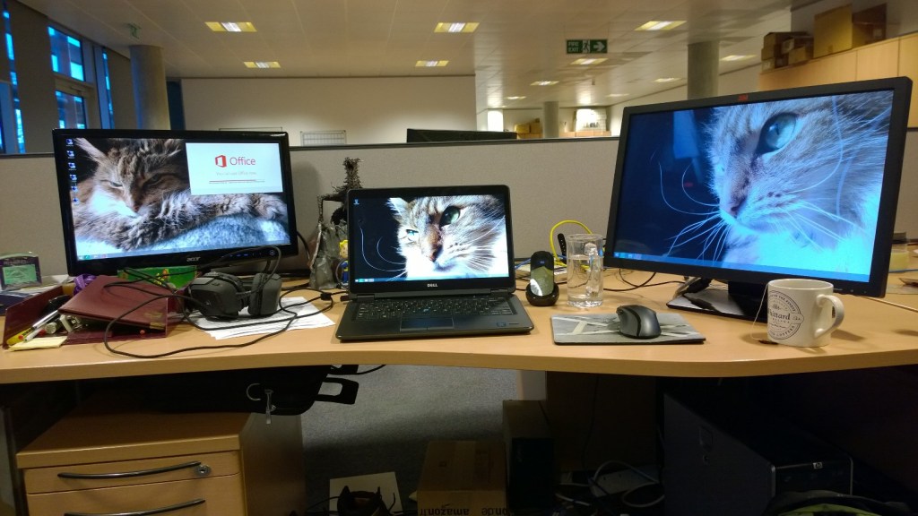 Multi- Monitor Layout